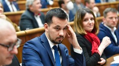 Odvolávanie vlády zamiešalo aj stranícke karty. Takáto je politická budúcnosť tých, ktorí prekvapili