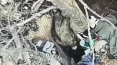 VIDEO: V ústrety k jasnému osudu. Ruský vojak skočil do zákopu, kam tesne predtým dopadol granát