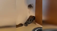 VIDEO: V dome bolo príjemne teplo. Keď sa doňho nová majiteľka nasťahovala, čakalo ju desivé prekvapenie