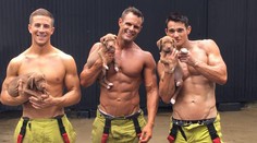 Sen každej ženy: Silní chlapi a nežné šteniatka pózovali pre kalendár