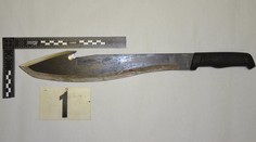 Dráma v Košiciach: Syn sa pokúsil zavraždiť vlastnú matku, zaútočil na ňu mačetou