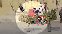 VIDEO: Desivý incident v Indii. Slonica chobotom schmatla ruskú turistku a začala s ňou točiť okolo seba