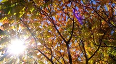 Vývoj počasia na víkend: Letné teploty, ale môže to pokaziť jedna vec