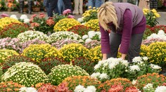 Mali by sa na Dušičky sprísniť opatrenia? Odborníci sa zhodujú, že ľudia ich už nebudú dodržiavať