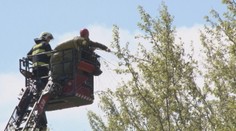Trenčiansky hasiči pomáhali vojačke, ktorej sa zachytil o strom padák
