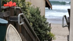 Smrteľný útok žraloka v Kalifornii: Zraneniam podľahol mladý surfista