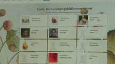 Slovák vytvoril projekt, aký tu ešte nebol