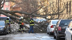 Meteorológovia vydali viaceré výstrahy. Varujú pred silným vetrom aj lejakom