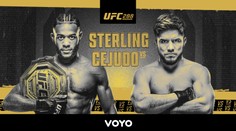 Vracia sa po takmer troch rokoch. Henry Cejudo sa opäť pokúsi uspieť v titulovom zápase v bantamovej váhe