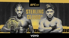Šampión bantamovej váhy sa nemení. Sterling prevýšil svojho skúsenejšieho súpera. Čaká ho nový vyzývateľ