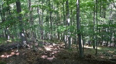 Polícia vyšetrila brutálnu vraždu po 17 rokoch. Prezradili aj hrozné detaily