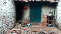 Tragédia v Indii: Na dom zaútočila svorka opíc, zahynula matka a jej štyri deti