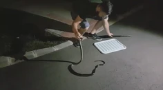 Ľudí zo zvolenského sídliska vystrašil had