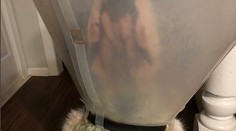 Srsť psa sa počas noci sfarbila dozelena. Existuje však vedecké vysvetlenie