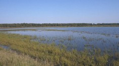 Polia sa premenili na jazerá. Desiatky hektárov pôdy sú pre prívalové dažde stále pod vodou