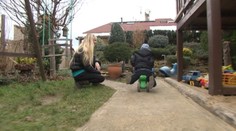 Lekári chlapcovi operovali niečo iné ako mali. Aký trest dostali?