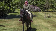 Alžbeta II. sa po niekoľkých týždňoch ukázala na verejnosti