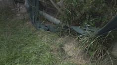 Súrodenci z Pribety našli na dvore mŕtveho jazvečíka. Rodina viní problémového suseda