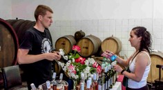 Vinári čelia pre krízu nezvyčajnému problému. Víno nemajú pomaly v čom skladovať