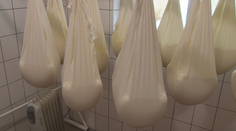 Syra bude na sviatočnom stole pomenej. Tu je dôvod