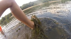 Môžete sa pre ne aj utopiť. Takto sa dostanete z nepríjemných rias