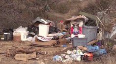 Na bezdomovca zaútočila „horský lev“. Mal šťastie, že prežil