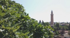 Turecko dýcha tradičnou architektúrou a antikou. Ponúka zaujímavé atrakcie aj rôznorodé pláže