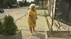 Vojna susedov pre pozemok: V tomto prípade hrajú hlavnú rolu múr a kvetináče