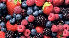 Celkom bežné potraviny: Pri zlom zaobchádzaní môžu byť jedovaté!