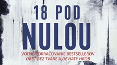 Kto zmrazil počítačového miliardára, aby ho potom utopil v prístave?