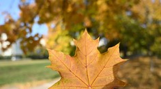 Netypická jeseň naďalej prekvapuje. Počasie na Slovensku ovplyvní tepelná kupola
