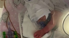 V poľskom Krakove sa narodili pätorčatá. Doma ich čaká ďalších sedem súrodencov