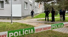 Strelec z Ružinova mal útočiť na sudkyňu. Súdna rada vyzvala na prijatie systémových opatrení