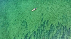 More okolo Thajska zaplnili pre úbytok turistov vzácne druhy živočíchov