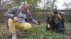 Slovenská vedkyňa s rodinou vyrába zázračné biohnojivo. Ide o prevratný objav