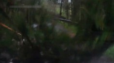 Horor v aute v Nízkych Tatrách. Rodina si takmer nakrútila vlastnú smrť