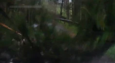 Horor v aute v Nízkych Tatrách. Rodina si takmer nakrútila vlastnú smrť