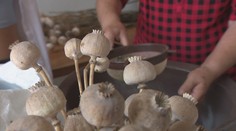 Po váhaní sa dala na poľnohospodárstvo. Gabika pestuje a spracúva mak tradičným spôsobom