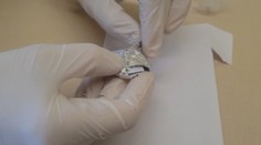 Smutný koniec prednášky o drogách: Keď policajti otvorili tašku študentky, zostali prekvapení