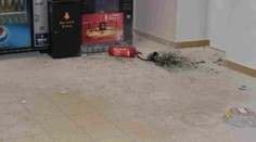 Porozbíjané okná a vystriekané hasiace prístroje. Vandali zničili ďalšie školy v Senci