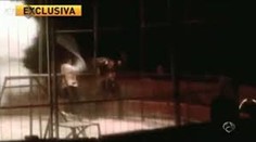 Toto ste v cirkuse ešte nevideli: Horor pred očami matky a kričiacich detí!