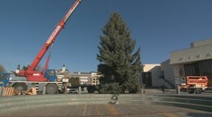 Nitra má tento rok vianočný stromček s príbehom. Rodina ho zasadila, keď sa narodil ich syn