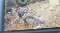 Susedovho psa surovo dobil a hodil mu ho na pozemok. Po troch rokoch o ňom rozhoduje súd