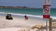 Zostali po ňom iba okuliare. Na muža zaútočil obrovský žralok pred očami jeho rodiny