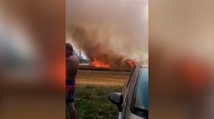 VIDEO: Veľký požiar poľa za Levicami. Obilie zhorelo za pár minút