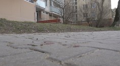 Psa, ktorý v Trenčíne vážne zranil ženu, dali utratiť. Veterinárka naznačila, čo mohlo vyprovokovať útok