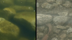 Boli sme sa pozrieť, či sa Štrbskému Plesu vrátila pôvodná farba