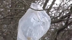 Namiesto snehu majú na stromoch vrecká