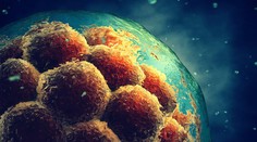 Vedci z Oregonu po prvý raz v USA upravili gény ľudského embrya