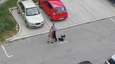 Surový útok na psa alebo sebaobrana? Zákrok policajta vyvoláva kontroverzné reakcie